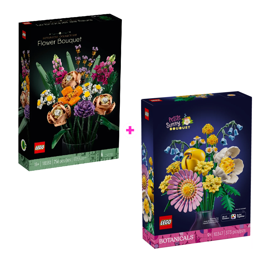 Combo Sueño Primaveral: Ramo de Flores (10280) y Ramillete Rayos de Sol (10347)