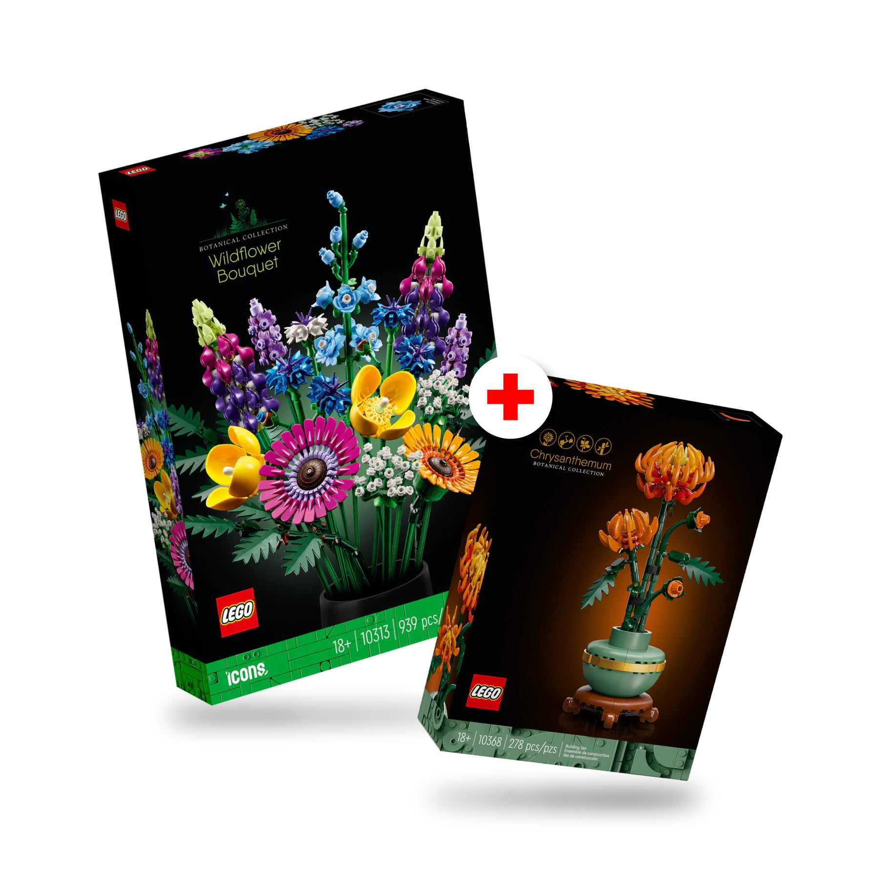 Combo Botánica: Ramo de Flores Silvestres (10313) y Crisantemo (10368)