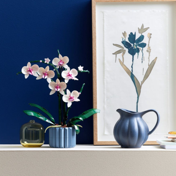 Combo Elegancia Botánica: Bambú de la Suerte (10344) y Orquídeas (10311)