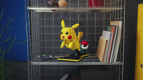 Pikachu y Poké Ball