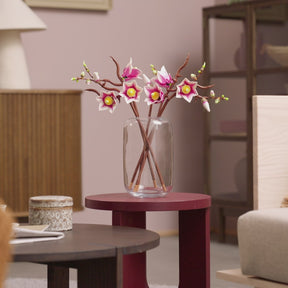 Ramas de Magnolia