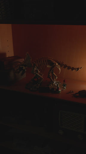 Fósiles de Dinosaurio: Triceratops