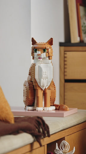Gato Naranja