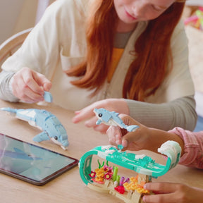 Animales Marinos: Hermosos Delfines