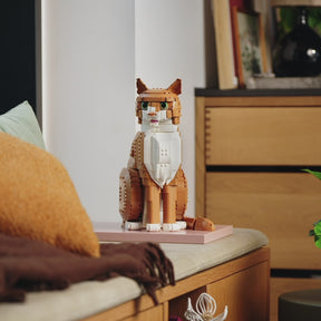 Gato Naranja