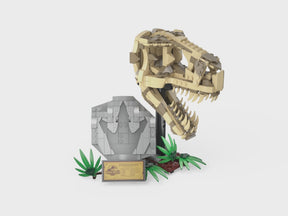 Fósiles de Dinosaurio: Cráneo de T. rex