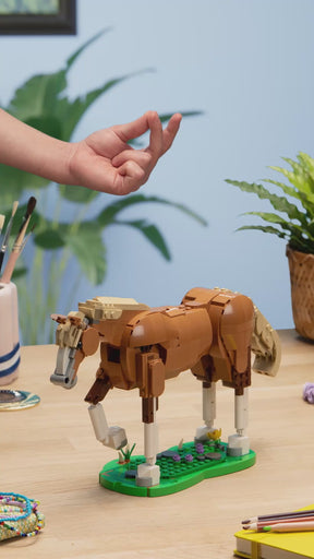 Caballo Noble