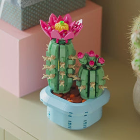 Cactus en Flor