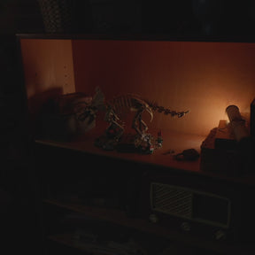 Fósiles de Dinosaurio: Triceratops
