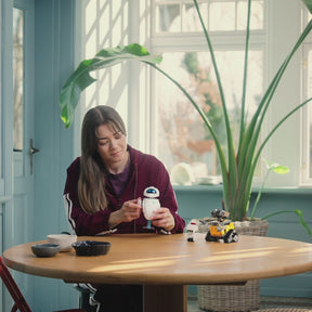 WALL-E y EVE